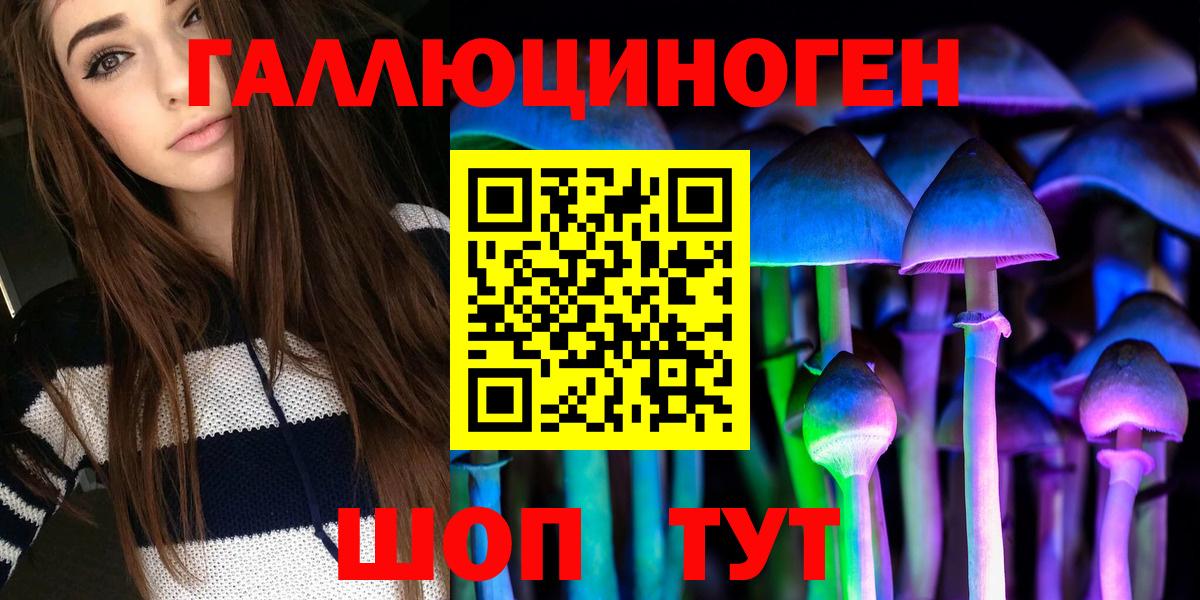 Псилоцибиновые грибы Psilocybe  Псилоцибиновые грибы Psilocybe  Вход с VPN  Майский 